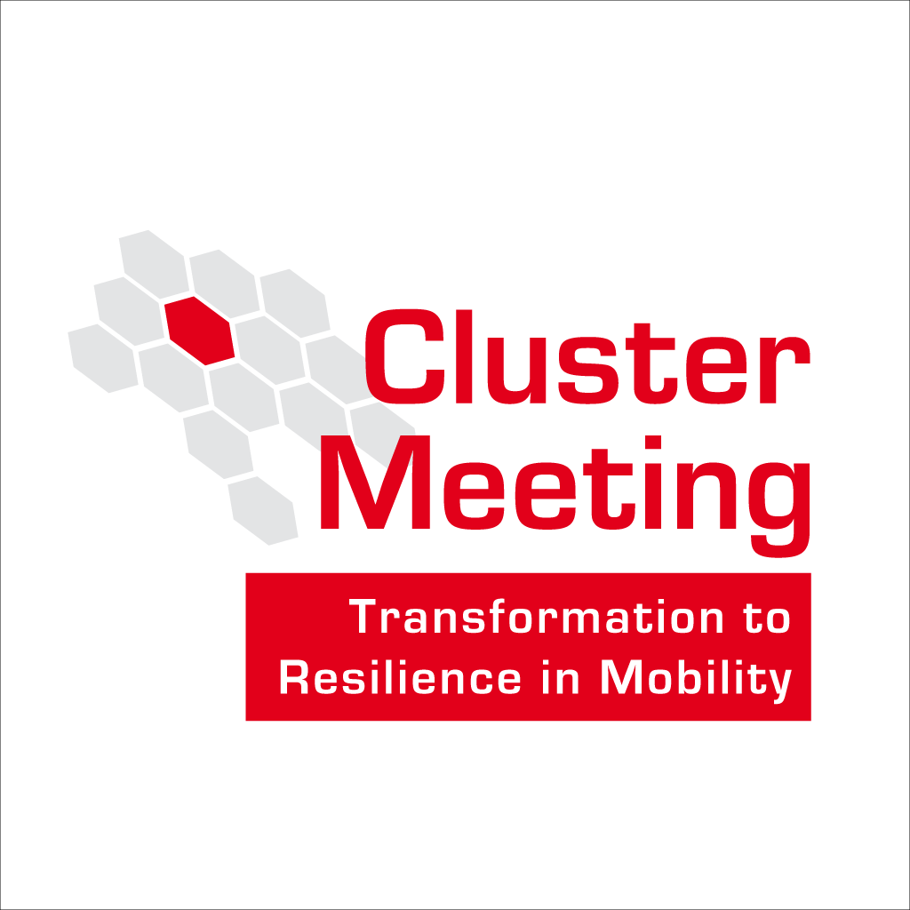 Cluster_Meeting_Transformation_to_Resilience